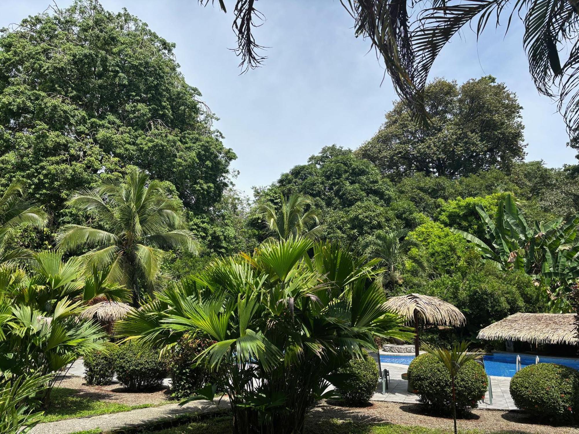 Hotel Suizo Loco Lodge&Resort Cahuita Esterno foto